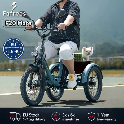 Tricycle électrique à batterie amovible