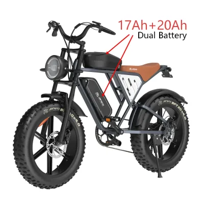 Vélo électrique tout-terrain à double batterie